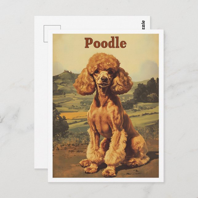 Poodle Dog Vintage Art Postcard (Front/Back)