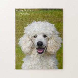 Poodle Dogs. Jigsaw Puzzle