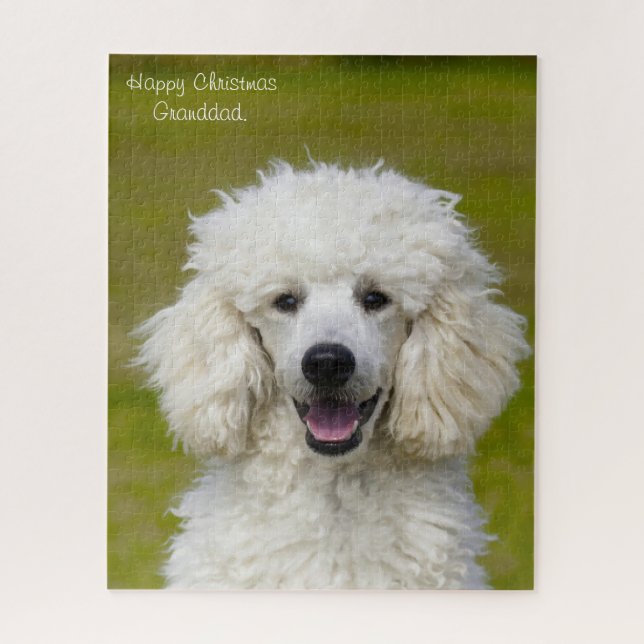 Poodle Dogs. Jigsaw Puzzle (Vertical)