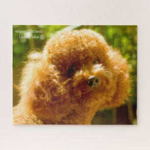 Poodle Dogs. Jigsaw Puzzle