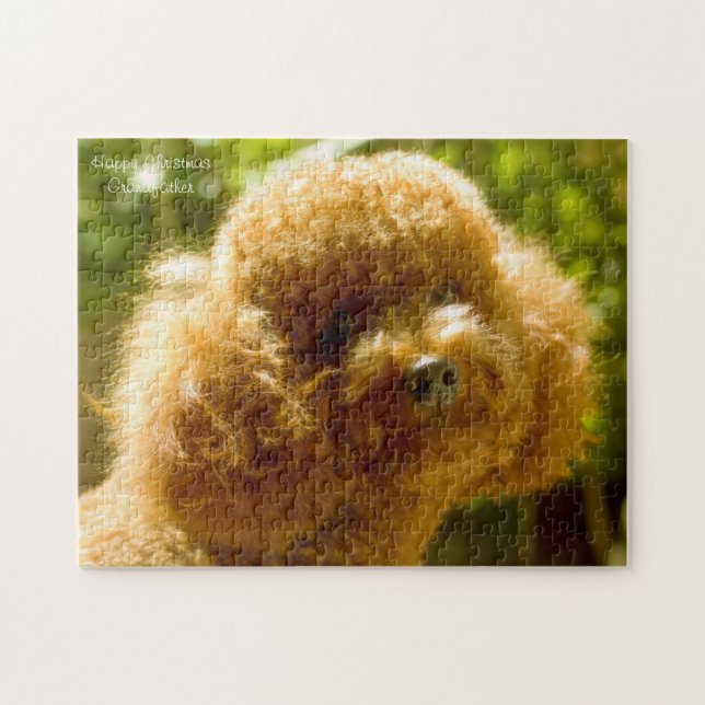 Poodle Dogs. Jigsaw Puzzle (Horizontal)