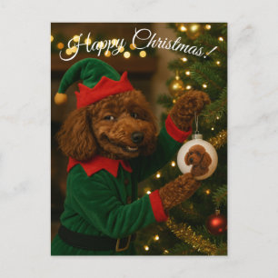 Poodle Elf cute funny bauble Christmas postcard
