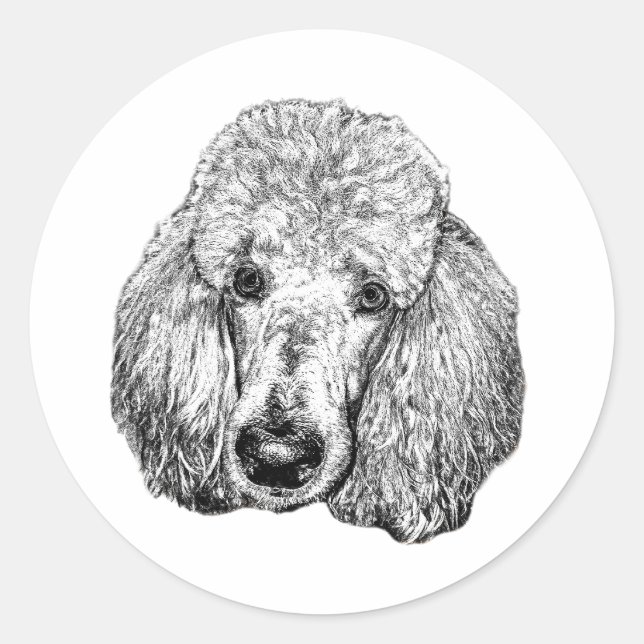 Poodle Face Sticker – Realistic Black & White Art (Front)