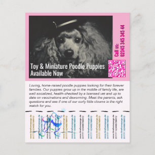 Poodle Flyer