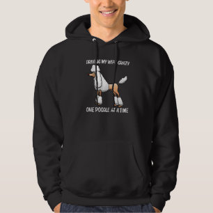 Poodle For Men Dad Doodle Dog Poodle Groomer 1 Hoodie