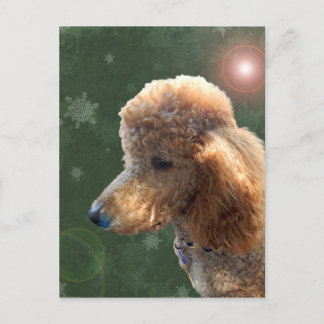 POODLE FOR THE HOLIDAYS HOLIDAY POSTCARD