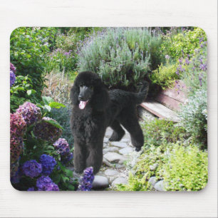 Poodle Garden Mousepad