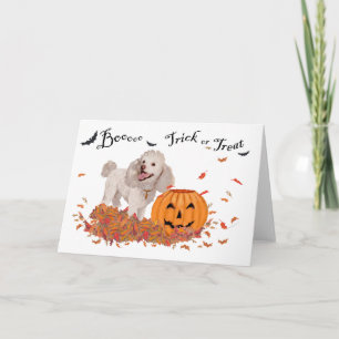 Poodle Halloween Card