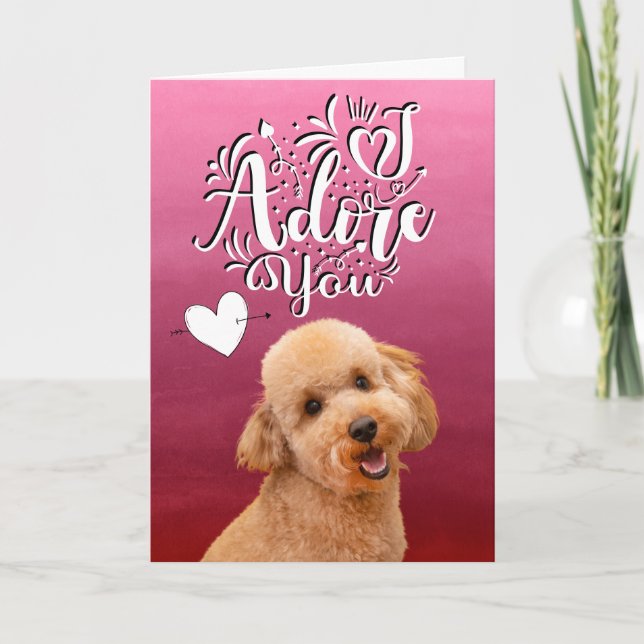 Poodle ...I adore you Valentine's Day Holiday Card (Front)