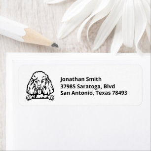 POODLE   Image on Return Address