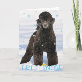 Poodle in the Snow Holiday Card