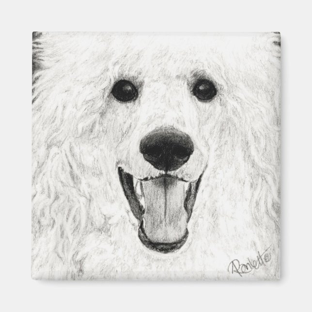 Poodle Magnet - "Jolly Boy" (Front)