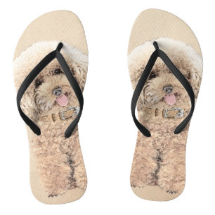 Poodle Miniature Toy Apricot Cream Brown Dog Art Jandals