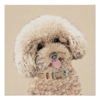Poodle Miniature Toy Apricot Cream Brown Dog Art
