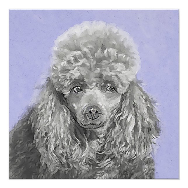 Poodle Miniature Toy Silver Grey Blue Dog Art Poster (Front)