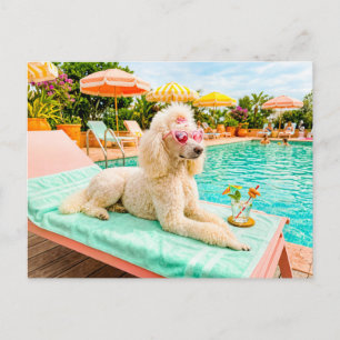 Poodle on lounge chair postcard