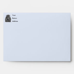 Poodle Painting Miniature Toy Black Original Art Envelope