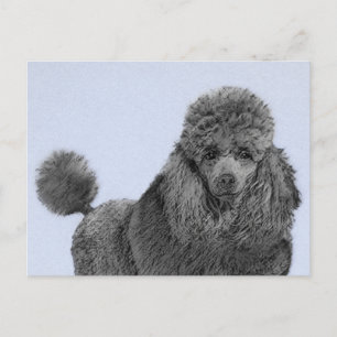 Poodle Painting Miniature Toy Black Original Art Postcard