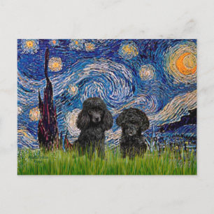 Poodle Pair (black) - Starry Night Postcard