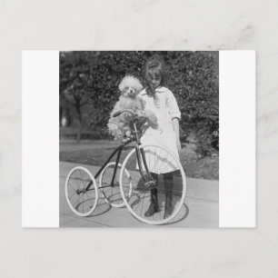 Poodle Perch, 1913 Postcard