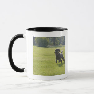 Poodle playing frisbee mug