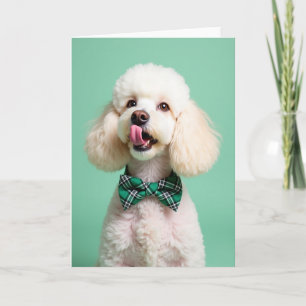 Poodle Portrait Perfect Pet Card