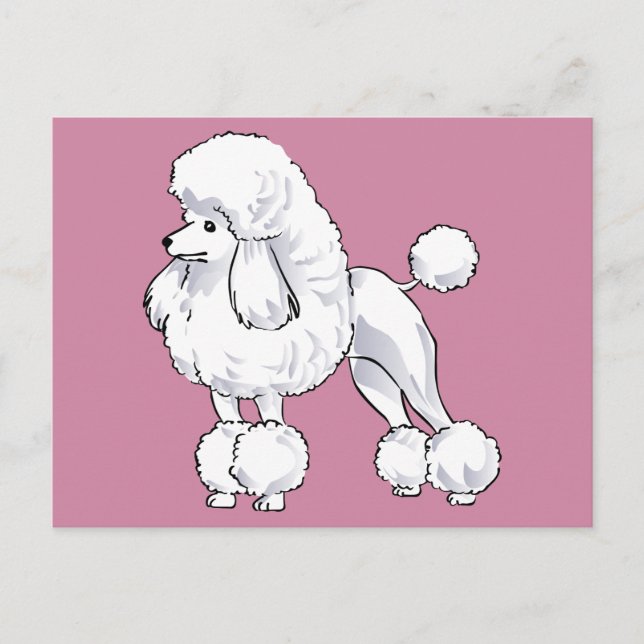 Poodle Postcard (Front)