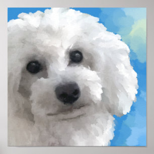 poodle poster