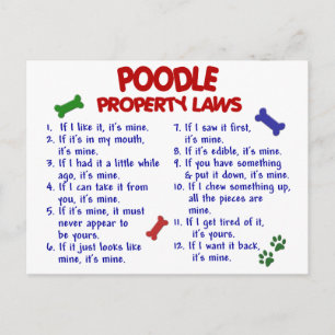 POODLE Property Laws 2 Postcard