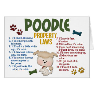 Poodle Property Laws 4