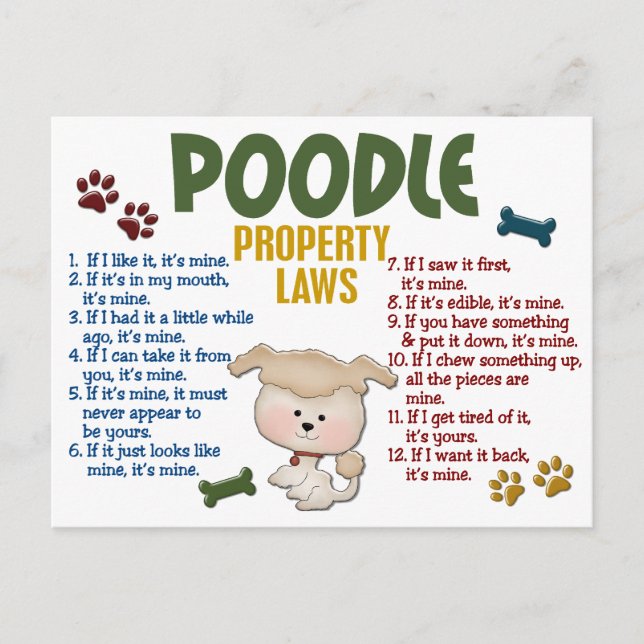 Poodle Property Laws 4 Postcard (Front)