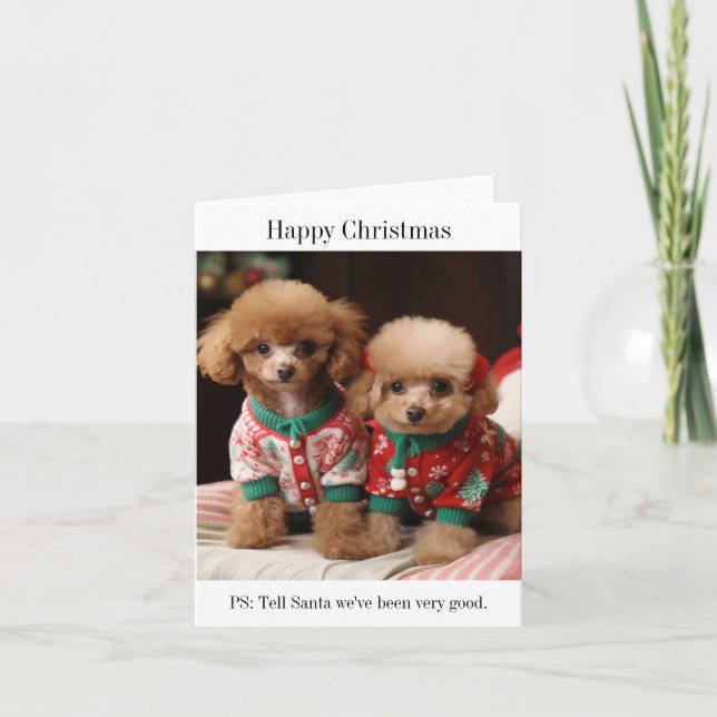 Poodle Puppies Christmas Card (Front)