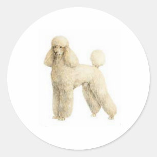 Poodle -- Puppy Clip Classic Round Sticker