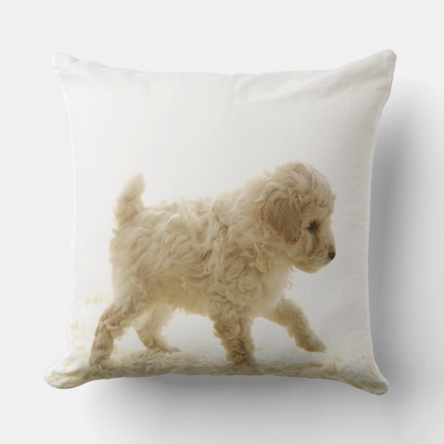 Poodle Puppy Cushion (Front)