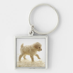 Poodle Puppy Key Ring
