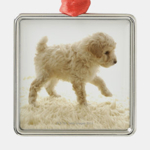 Poodle Puppy Metal Tree Decoration