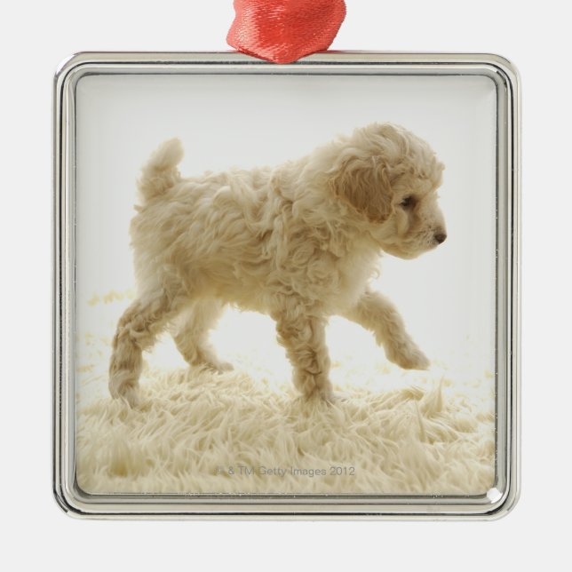 Poodle Puppy Metal Tree Decoration (Front)