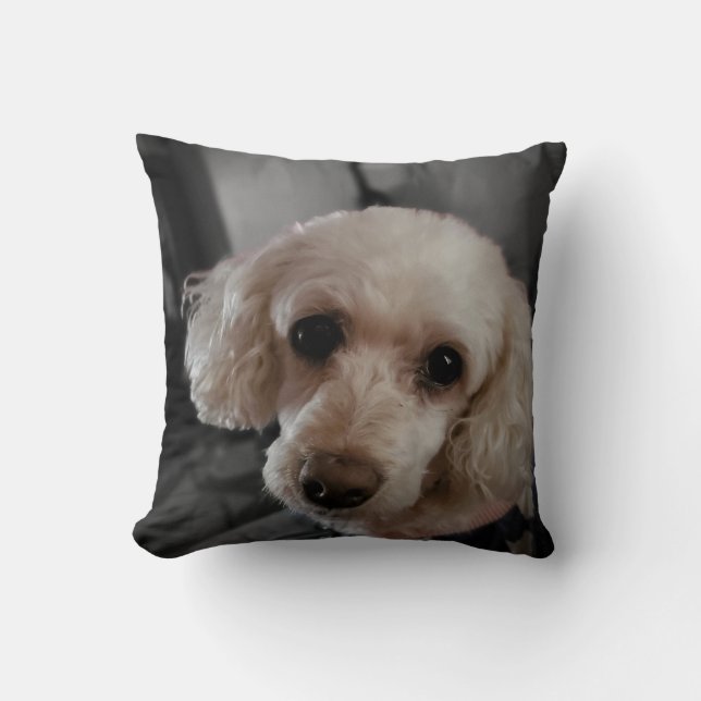Poodle Puppy Pillow (Front)