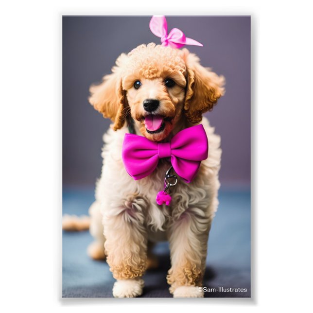 Poodle Puppy Satin Photo Enlargement Print (Front)