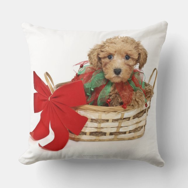 Poodle puppy sitting in Christmas basket Cushion (Front)
