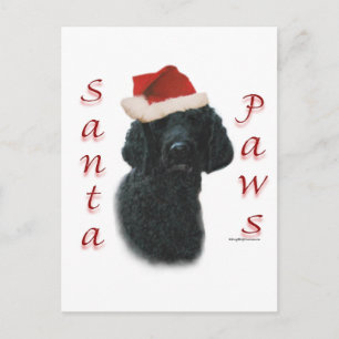 Poodle Santa Paws Holiday Postcard
