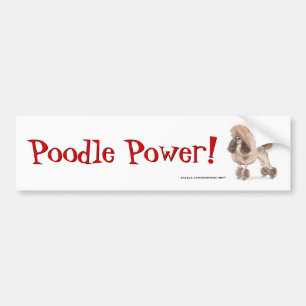 Poodle -- Show Coat Bumper Sticker