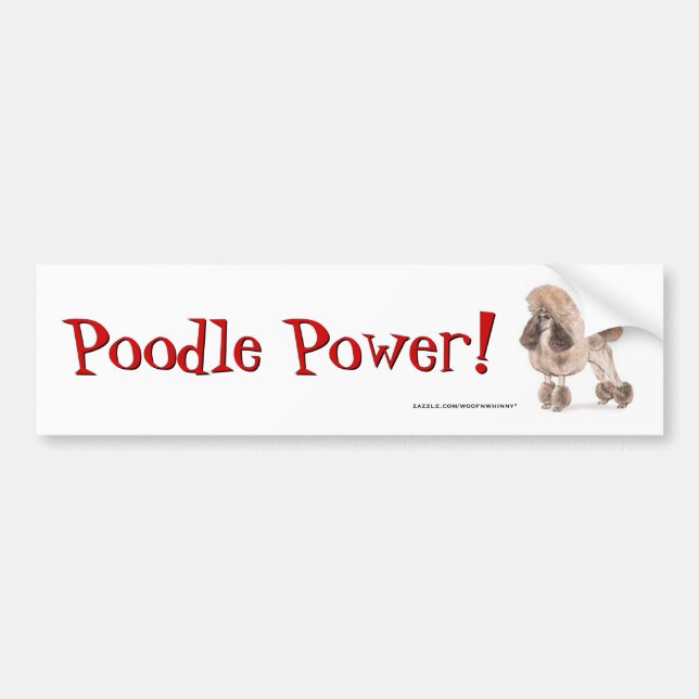 Poodle -- Show Coat Bumper Sticker (Front)