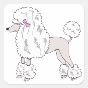 Poodle Square Sticker