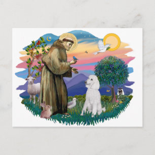 Poodle (Standard White) Postcard