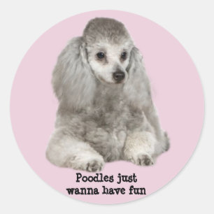 Poodle Sticker