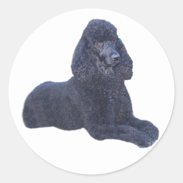 Poodle Sticker (Front)