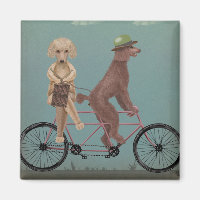 Poodle Tandem