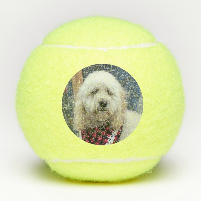 Poodle Tennis Balls (Front)