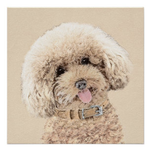 Poodle (Toy, Miniature) Painting Original Dog Art Poster